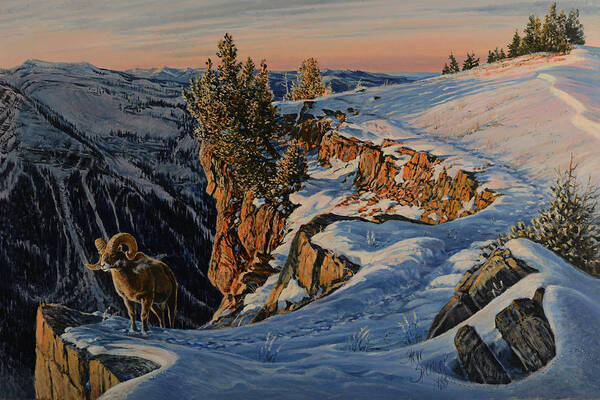 Bighorn Sheep Poster featuring the painting Eyes of the Canyon by Steve Spencer