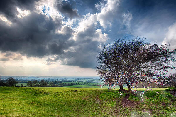 Eire Poster featuring the photograph Fairy Tree 2 - Hill of Tara - County Meath - Ireland by Bruce Friedman