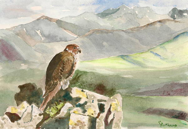 Falcon Poster featuring the painting Falcon by Christine Lathrop