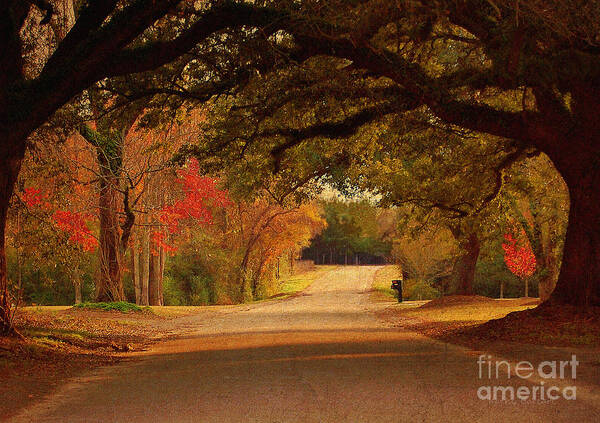 Fall Poster featuring the photograph Fall Along A Country Road by Kathy Baccari