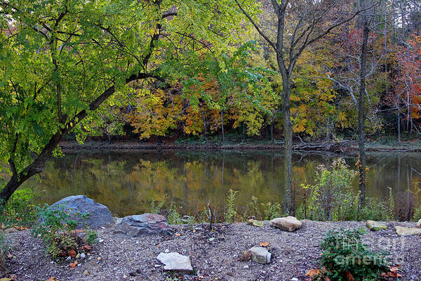 Autumn Poster featuring the photograph Fall along the Scioto River by Karen Adams