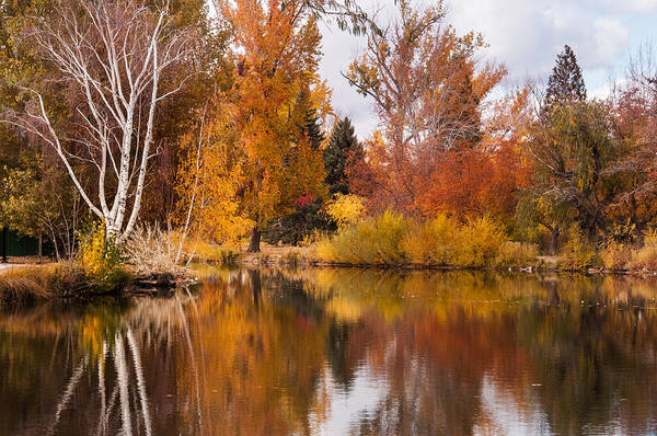 Fall Colors Poster featuring the photograph Fall at Idlewild by Janis Knight