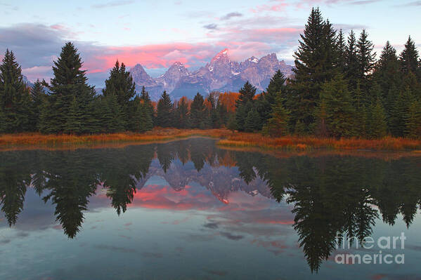 Schwabacher's Landing Poster featuring the photograph Fall at Schwabacher's by Bill Singleton