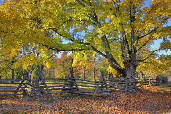 Hdr Poster featuring the photograph Fall Color #2 by Wendell Thompson