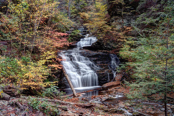 Mohican Poster featuring the photograph Fall Colors From Below Mohican Falls by Gene Walls
