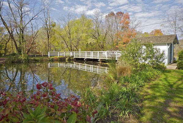 Colour Poster featuring the photograph Fall Colors on the Canal by David Letts