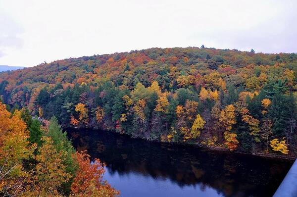 Fall Poster featuring the photograph Fall Colors by Robert Habermehl