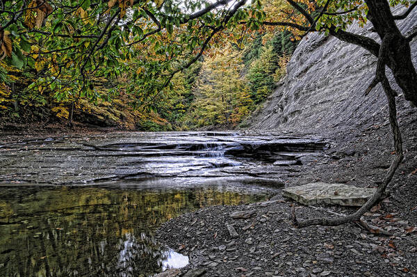 Creek Poster featuring the photograph Fall Creek by David Armstrong