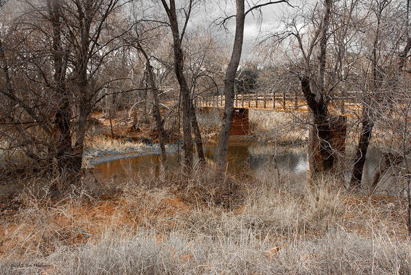 Arizona Poster featuring the photograph Fall Day by Jerry Williamson