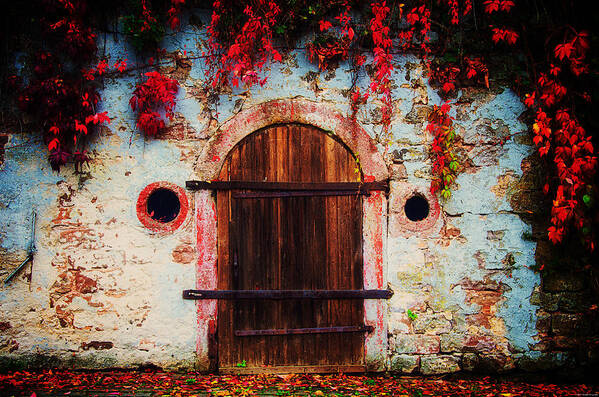 Fall Poster featuring the photograph Fall Door by Ryan Wyckoff