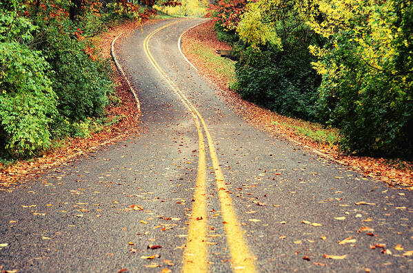 Fall Poster featuring the photograph Fall Drive by Steven Michael