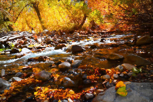 Fall Poster featuring the photograph Fall Flow at McGee Creek by Lynn Bauer