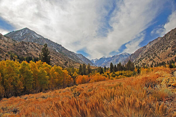Fall Poster featuring the photograph Fall in Lundy Canyon by Lynn Bauer