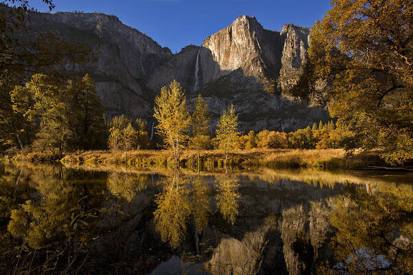 Orias Poster featuring the photograph Fall in Yosemite MG2899 by David Orias