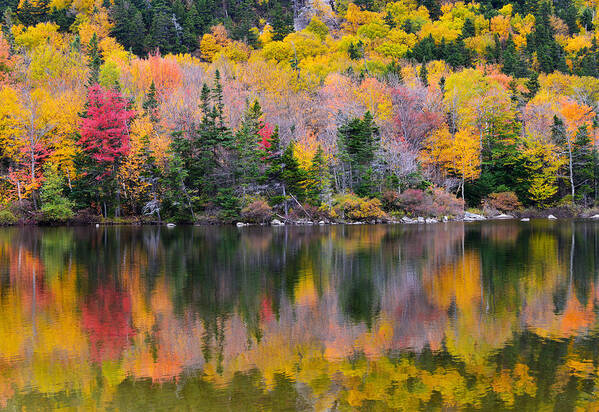 Autumn Poster featuring the photograph Fall Reflections in Echo Lake by Ken Stampfer