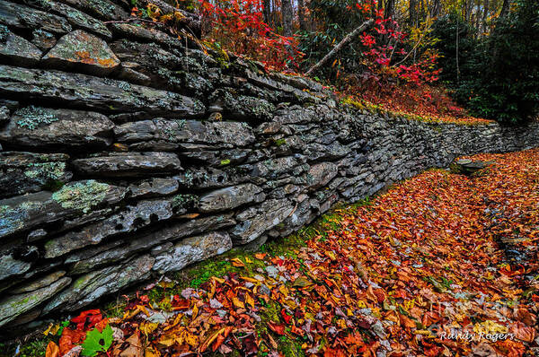 Fall Poster featuring the photograph Fall Wall by Randy Rogers