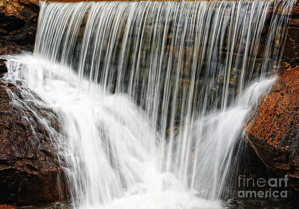 Water Poster featuring the photograph Falling Forward by Lincoln Rogers