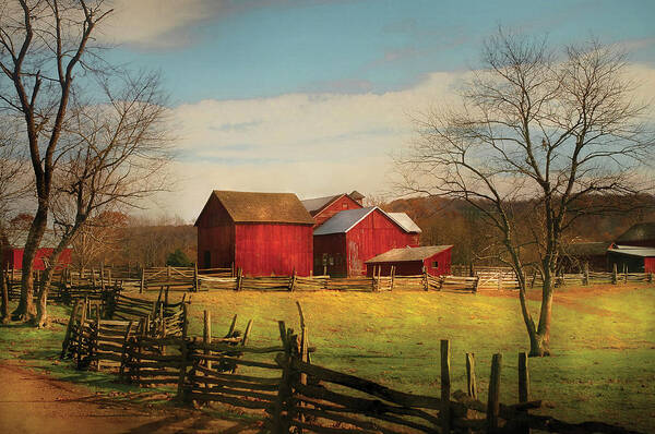 Savad Poster featuring the photograph Farm - Barn - Just up the path by Mike Savad