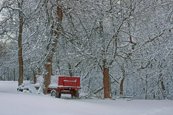 Red Wagon Poster featuring the photograph Farm Wagon in Winter by Nikolyn McDonald