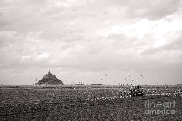 France Poster featuring the photograph Farm Work at Mont Saint Michel by Olivier Le Queinec