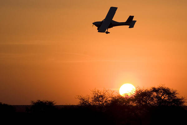 Jabiru Poster featuring the photograph Fast and Low by Paul Job