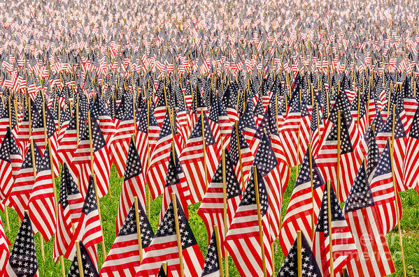Usa Poster featuring the photograph Field of US Flags by Mike Ste Marie