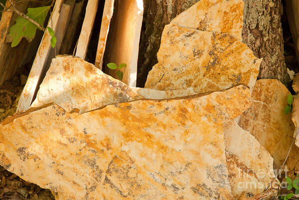 Nature Poster featuring the photograph Field Stones by Lena Wilhite