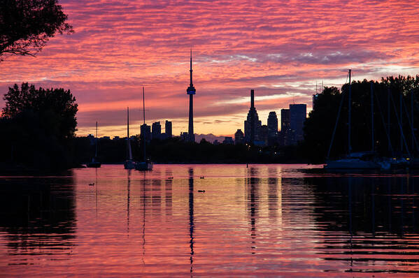 Toronto Poster featuring the photograph Fiery Sunset - Downtown Toronto Skyline with Sailboats by Georgia Mizuleva