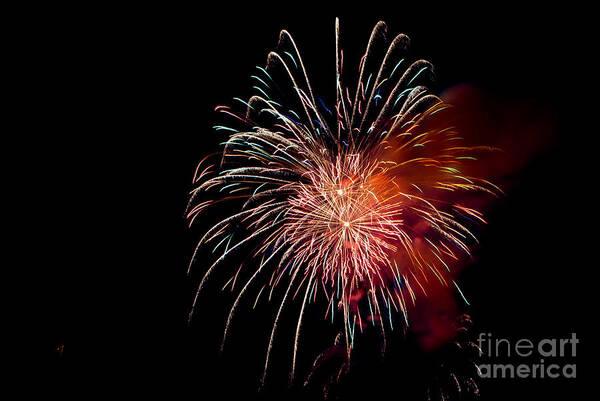 Fireworks Poster featuring the photograph Fireworks by Grace Grogan