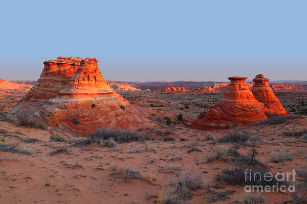 South Coyote Buttes Poster featuring the photograph First Light at Teepees by Bill Singleton