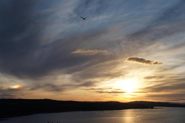 Firth Of Forth Poster featuring the photograph Firth of Forth in the sunset by Elena Perelman