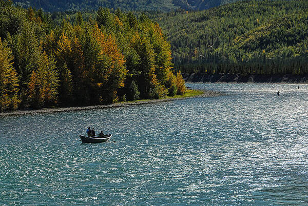 Fish Poster featuring the photograph Fishing on the Kenai River by Dyle  Warren