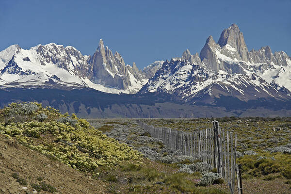 Argentina Poster featuring the photograph Fitz Roy Range in Springtime 1 by Michele Burgess