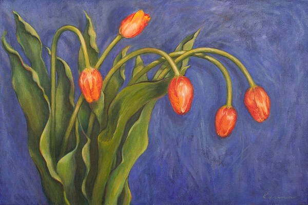 Flower Poster featuring the painting Five Tulips by Kerima Swain