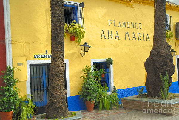 Sunset Poster featuring the photograph Flamenco Bar in Marbella by Brenda Kean