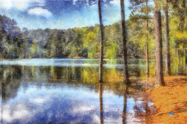 Lake Allatoona Poster featuring the digital art Flooded Allatoona by Daniel Eskridge