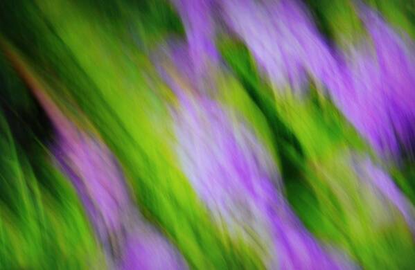 Floral Poster featuring the photograph Floral Abstract 2 by Diana Angstadt