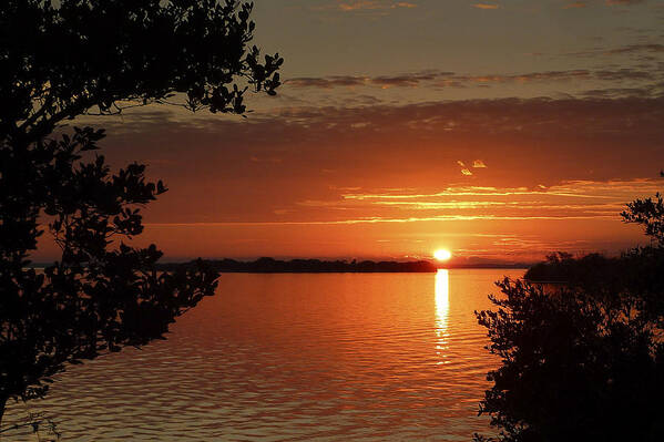 Sunset Poster featuring the photograph Florida Beach 05 by Phil And Karen Rispin