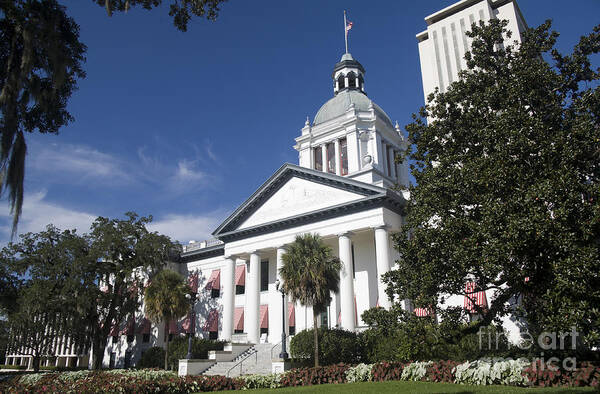 Architecture Poster featuring the photograph Florida Capital Building by Ules Barnwell