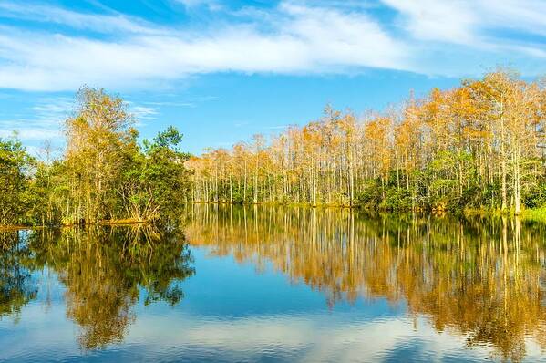 Florida Poster featuring the photograph Florida Winter Wonderland by Jody Lane