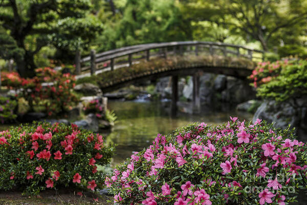 Japan Poster featuring the photograph Flower Bridge by Scott Kerrigan