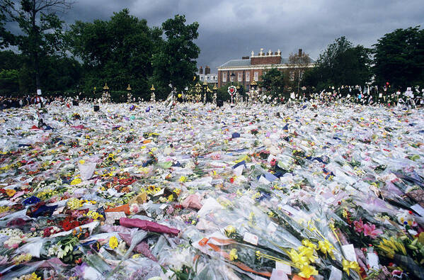 Building Poster featuring the photograph Flowers Outside Kensington Palace by Mark Thomas/science Photo Library