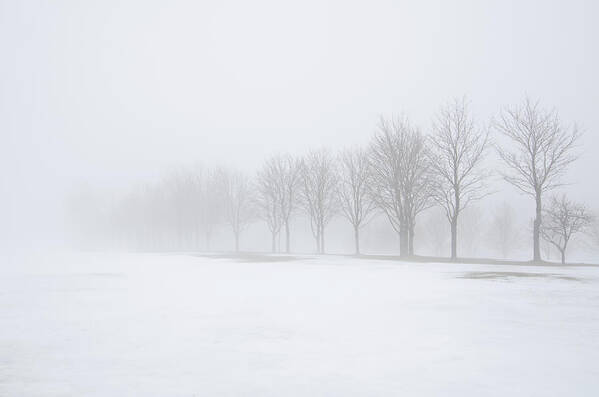 Fog Poster featuring the photograph Foggy Day with Snow by Donna Doherty