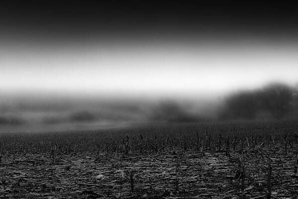 Fog Mist Cool Monochrome Gray Grey Black White Landscape Agriculture Farm Farming No-till Corn Stalk Tree Trees Hill Hills Sky Harvest Till Plant Crop Rotate Slope Rain Dry Drought Flood Moist Moisture Sell Real Estate Stage Wall Hanging Art Cut Chop Slice Poster featuring the photograph Foggy Field by Tom Gort