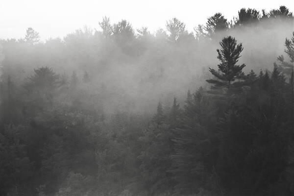 Maine Poster featuring the photograph Foggy hillside - Norway - Maine by Steven Ralser