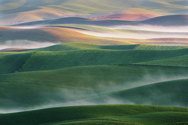 Palouse Poster featuring the photograph Foggy Morning by ??????? / Austin