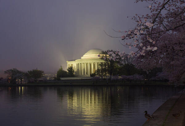 Jefferson Memorial Poster featuring the photograph Foggy Morning at the Jefferson Memorial 1 by Leah Palmer