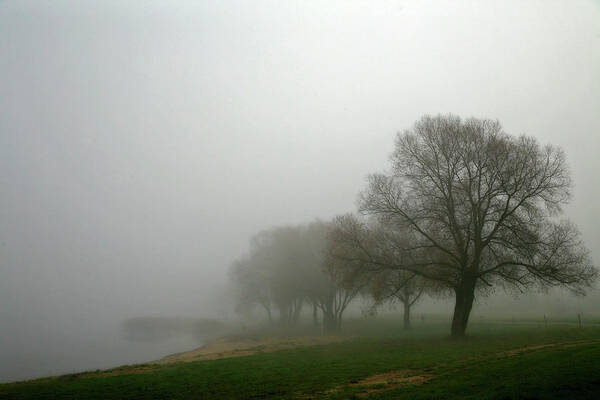 Tranquility Poster featuring the photograph Foggy Morning by Robert Kozuch
