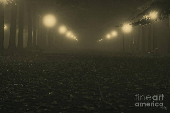 Italy Poster featuring the photograph Foggy night in a park by Prints of Italy