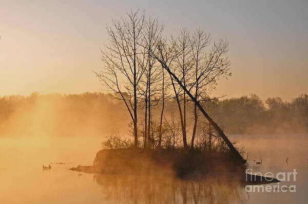 Ohio Poster featuring the photograph Foggy Ohio Morning by Randy Rogers